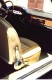 Thumbs/tn_flavia_040.jpg