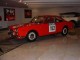 Thumbs/tn_flavia_048.jpg