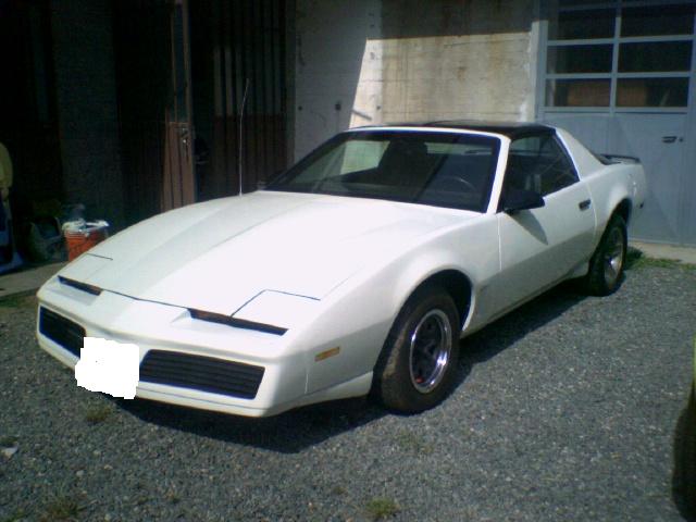 PONTIAC TRANS AM 1982 TTOP