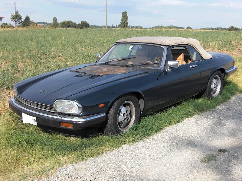 Ci sono altri annunci su Jaguar XJS cabrio 53 V12'79 da ripristin